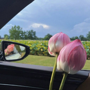 Em cần gấp các chị đi làm ngay ngày hôm này ( bao ăn ở )