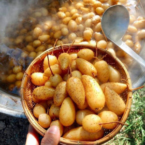 Em cần người phụ giúp việc nhà quận 9, lương 11 triệu ( bao ăn ở )