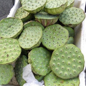 ĐƯỜNG PHAN XÍCH LONG, BÌNH THẠNH CẦN CHỊ CHĂM BÀ ĐI LẠI YẾU