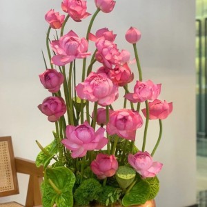 ĐỒNG KHỞI- QUẬN 1- NHÀ EM CẦN CHỊ GIÚP VIỆC NHÀ- BAO ĂN Ở