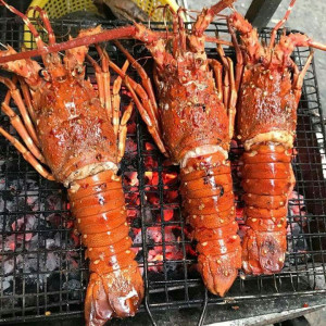 Em cần tìm cô giúp việc nhà thật thà, siêng năng cho nhà em ở Quận 3 LƯƠNG 12 TRIỆU BAO ĂN Ở