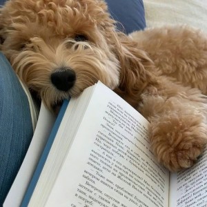 Lương 12tr - ở Bình Hưng Hòa A, quận Bình Tân - Cần cô chăm bà