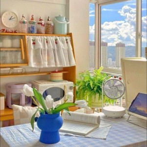 Tuyển Cô Giúp Việc Cho Gia Đình Tại Đường Nguyễn Tri Phương, Quận 10. 9tr