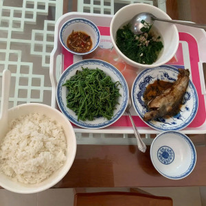 Cần chị giúp việc nhà quận 11, lương 9 triệu ( bao ăn ở )