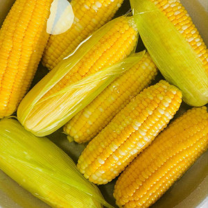 GIA ĐÌNH EM MONG TÌM ĐƯỢC CHỊ GIÚP VIỆC NHÀ SẠCH SẼ, HIỀN LÀNH