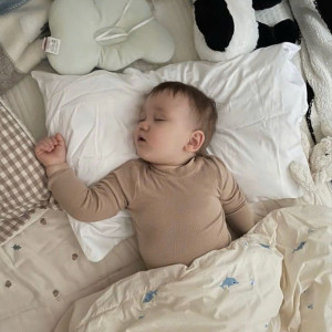 CHUNG CƯ CAO THẮNG- QUẬN 3 CẦN TÌM CHỊ  BẢO MẪU CHO BÉ 8 THÁNG LƯƠNG 11TR