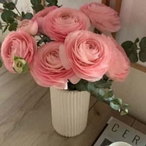 Tìm người phụ giúp việc nhà Quận 11 -  Lương 12 triệu ( bao ăn ở )