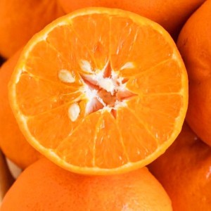 TUYỂN NHÂN VIÊN BÁN TRÁI CÂY– Q1 (LÀM Ở LẠI)