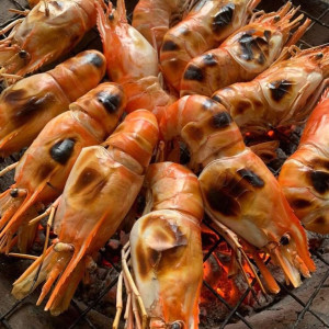 EM ĐANG MUỐN TÌM CÔ GIÚP VIỆC NHÀ QUẬN 4 ĐƯỜNG KHÁNH HỘI