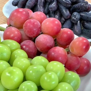 Tuyển Cô Chăm Bé , Quận Tân Phú - Lương 12 Triệu+