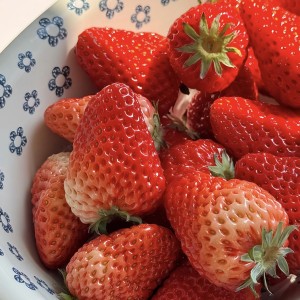 Cần cô giúp việc nhà ở Quận 4, Lương 12 triệu bao ăn ở