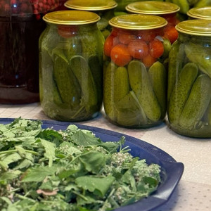 Nhà ở Bình Tân cần Giúp việc nhà , Lương 13 triệu.