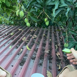 THA THIẾT TÌM CHỊ VỀ NỘI TRỢ CƠM NƯỚC CHO NHÀ EM Ở QUẬN 4