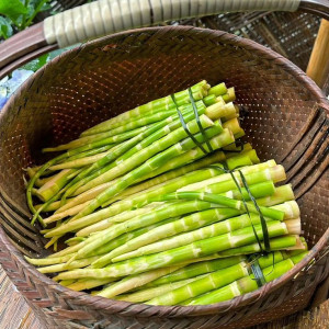 EM Ở NGÔ THỜI NHIỆM, QUẬN 3 CẦN TÌM CHỊ GIÚP VIỆC NHÀ LƯƠNG 12 TRIỆU