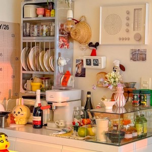 Cần cô GVN làm ăn ở lại - ở nhà vườn Long An ( nhà 1 trệt 2 lầu )