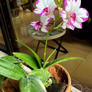 Tuyển gấp: Giúp việc nhà Quận 7 - Lương 12 triệu ( bao ăn ở)