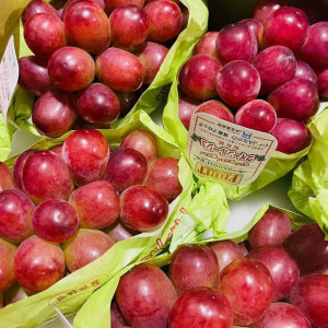 Em đang cần chị giúp việc nhà , nhà em ở quận 4