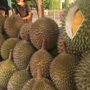 Cần gấp 1 bạn Nam phụ bán Sầu Riêng ở quận Tân Bình