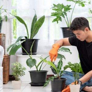 Hôm nay em Thu cần Tuyển 1 bạn nam phụ việc nhà ở Phú Nhuận Lương 7tr Bao Ăn Ở