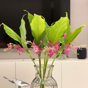 Nhà em cần gấp cô giúp việc nhà quận 11 ,lương  12 triệu ( bao ăn ở )