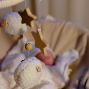 Tuyển Chị Chăm Bé 2 tháng Quận 2 gần Khu Thảo Điền - Lương 14 triệu ( bao ăn ở )