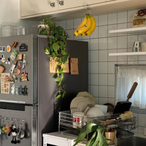 Tìm Người Phụ Việc Nhà Khu Bình Tân -  Lương 13 triệu / tháng ( bao ăn ở lại )