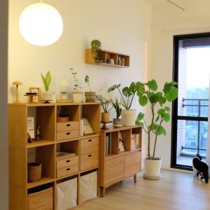 Cần chị giúp việc nhà – phụ chăm bé gái 3tuoi ở Tân Phú. Lương 10tr