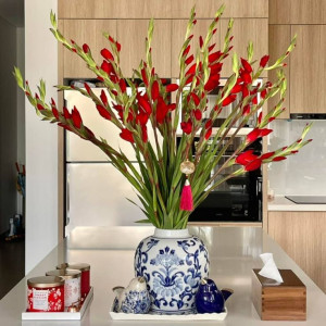 PHÚ NHUẬN CẦN CHỊ CHĂM BÀ 85 TUỔI CÒN MINH MẪN