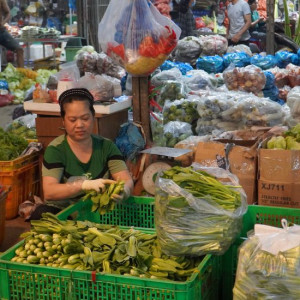 Cần gấp người giúp việc nhà , ở gần Chợ đầu mối Bình Điền quận 8.