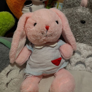 Cần cô chăm bé 5 tháng ở Lãnh Binh Thăng quận 10.( bao ăn ở )