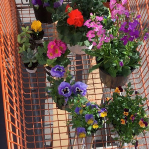 Em đang cần chị giúp việc nhà ở quận 4 , Lương 11 triệu ( bao ăn ở )