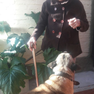 EM Ở GẦN CHỢ AN NHƠN GÒ VẤP  CẦN CHỊ CHĂM BÀ 79 TUỔI LƯƠNG 10 TRIỆU