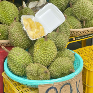 TÌM CHỊ CHĂM SÓC BÀ 87 TUỔI Ở TÂN BÌNH LƯƠNG  11 TRIỆU