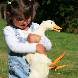 Cần cô chuyên chăm bé 3 tuoi ở Bình Thạnh bao ăn ở - lương 12tr ( có BHXH, BHYT )