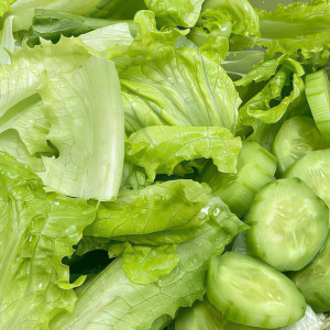 NHÀ EM Ở ĐƯỜNG LỮ GIA, QUẬN 10 CẦN CHỊ GIÚP VIỆC NHÀ ĐI LÀM NGAY