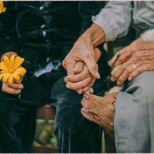 Nhà ở quận Bình Thạnh , cần chị giúp việc nhà