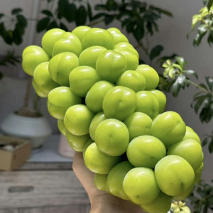 Tuyển 1 chị chăm bé sơ sinh làm ở quận Quận 11.