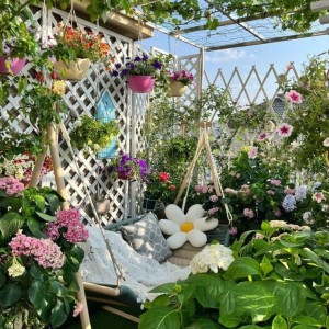 💖LƯƠNG 12 TRIỆU- NHÀ ANH BÌNH CẦN CHỊ CHĂM BÀ- BAO ĂN Ở- TÔ HIẾN THÀNH- QUẬN 10