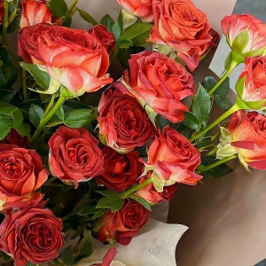 Cần chị giúp việc nhà  ở quận 7  nhà chung cư