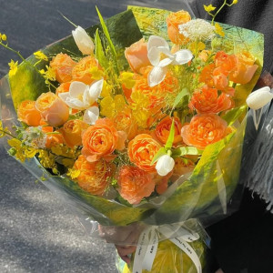 Em cần chị giúp việc nhà , nhà ở quận Hóc Môn