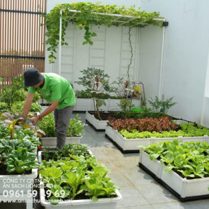 Cần chị chăm bà đi đứng yếu lương 13 triệu ở đường Xô Viết Nghệ Tĩnh, Bình Thạnh