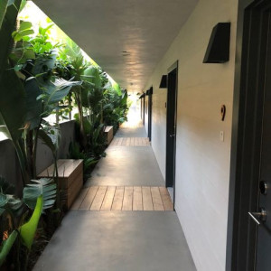 CẦN GẤP CÔ TẠO VỤ