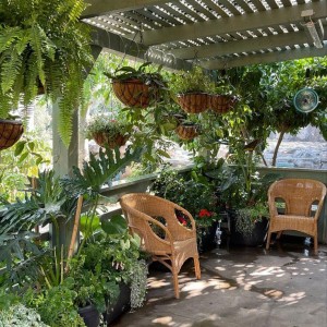 Nhà em chỉ có 2 mẹ con- cần chị dọn dẹp nhà cửa- Bàu Cát- Tân Bình