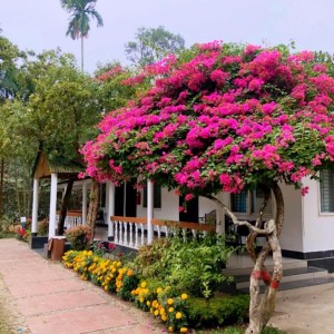 Gia đình nhỏ 3 người cần tìm cô chăm bé 18 tháng tuổi- Đào Duy Từ- Phú Nhuận