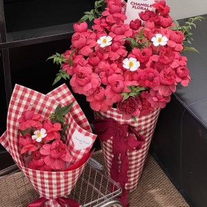 🌸 Gia đình tại Bình Dương cần cô giúp việc chăm nhà vườn nhỏ