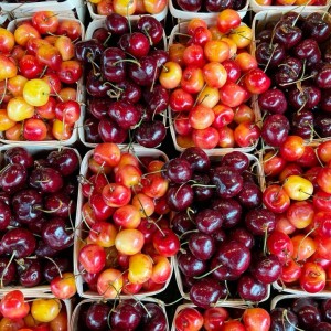 Chăm người già tại nhà - Khu đô thị Sala - Lương 14 triệu