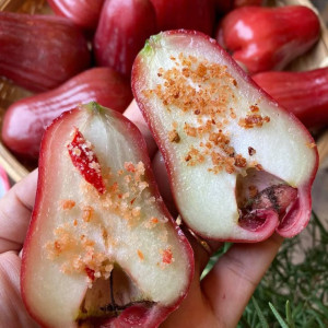 CÔ GIÚP VIỆC NHÀ EM NGHĨ NGANG NÊN E CẦN TÌM CÔ VỀ DỌN DẸP NHÀ CỬA CƠM NƯỚC CHO NHÀ EM CÓ THỂ ĐI LÀM NGAY Ở QUẬN 1