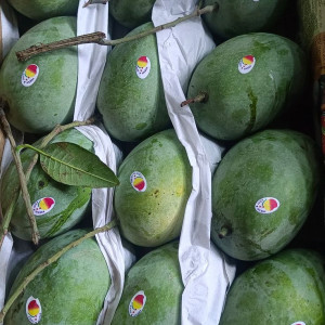 ĐƯỜNG TRẦN HUY LIỆU, PHÚ NHUẬN TÌM 1 CHỊ GIÚP VIỆC LƯƠNG 13 TRIỆU