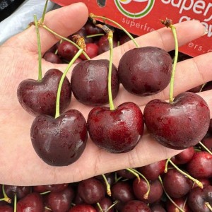 Cần cô Giúp việc nhà nấu ăn người miền Tây