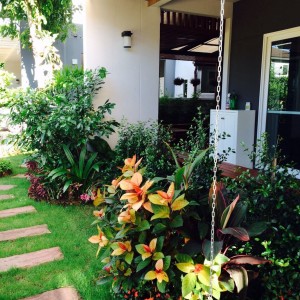 ✨ Tuyển cô giúp việc nhà – làm ăn ở tại quận 1  ✨